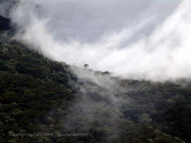 Bandarawela,_World`s_End,_DSC07007B_H600